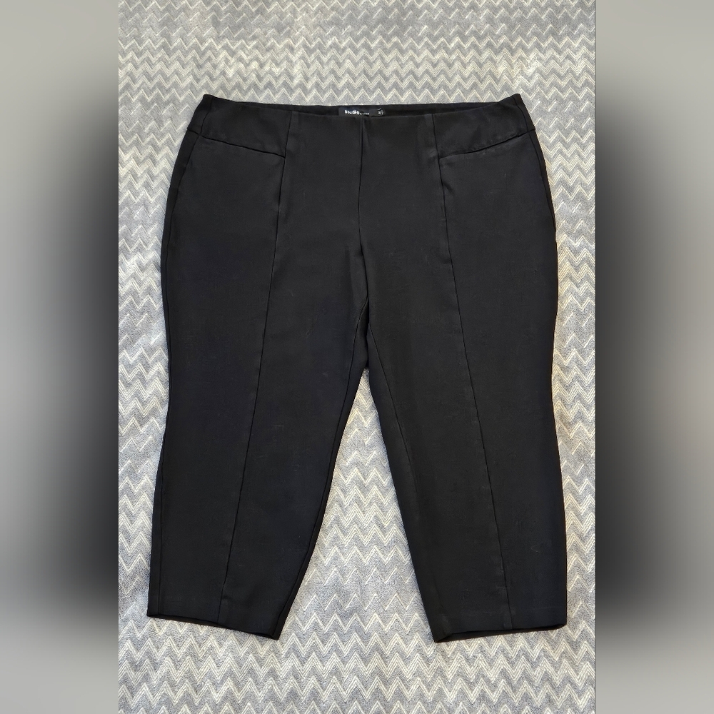 Studio By TORRID pants (4R)